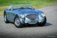 Austin Healey 100/4 (BN1), 1954