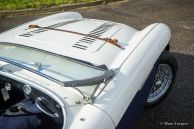 Austin Healey 100/4 BN2, 1955