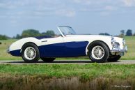 Austin Healey 100/6 BN4, 1959