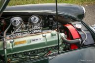 Austin Healey 3000 Mk 3 ph 2, 1966