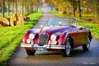 Jaguar XK 150 OTS (Roadster), 1958