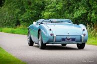 Austin Healey 100/M BN2 “Le Mans”, 1956