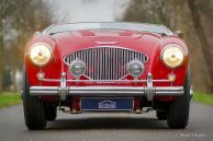 Austin Healey 100/4 BN1 ‘Le Mans’, 1954