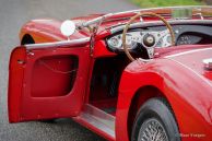 Austin Healey 100/4 BN1 ‘Le Mans’, 1954