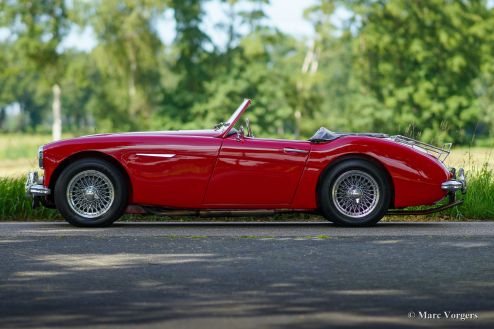 Austin Healey 100/6, 1959