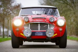 Austin Healey 100/6 Rally Car, 1958