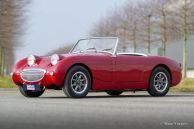 Austin Healey Sprite Mk 1, 1959