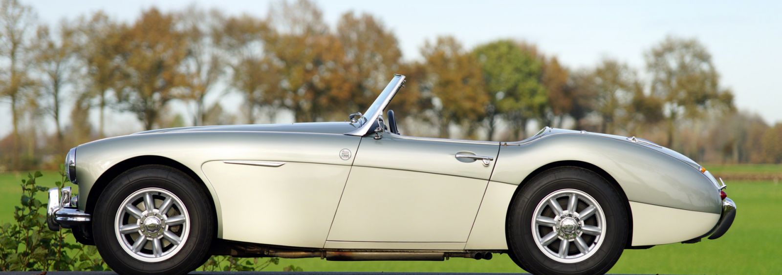 Austin Healey 100/6 BN6, 1957