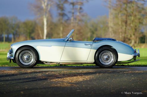 Austin Healey 100/6 BN4, 1957