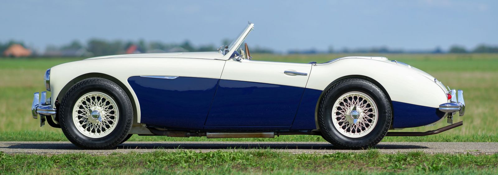 Austin Healey 100/6 BN4, 1959