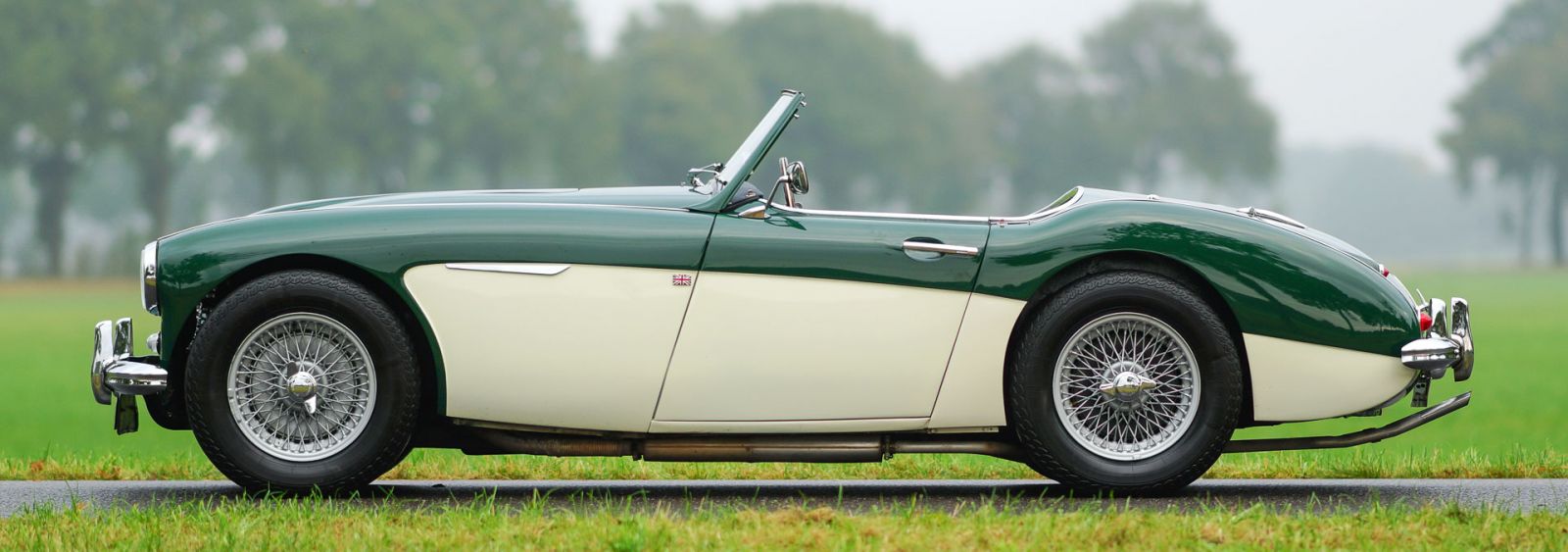 Austin Healey 100/6 'two-seater', 1957