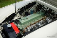 Austin Healey 3000 Mk 1 two-seater, 1960