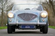 Austin Healey 100/4 (BN1), 1955