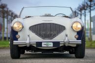 Austin Healey 100/4 BN2, 1955