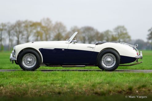 Austin Healey 100/6 BN4, 1957