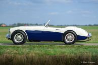 Austin Healey 100/6 BN4, 1959