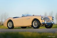 Austin Healey 100/4 BN-1, 1953