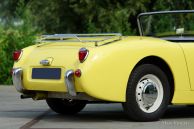 Austin Healey Sprite 'Frog Eye', 1959