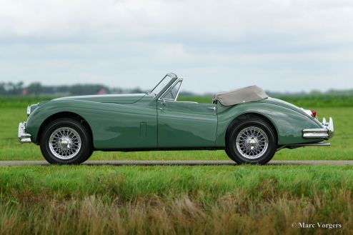 Jaguar XK 140 SE DHC, 1955