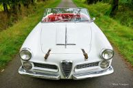 Alfa Romeo 2000 Touring Spider, 1959