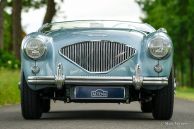 Austin Healey 100/4 BN-1, 1955