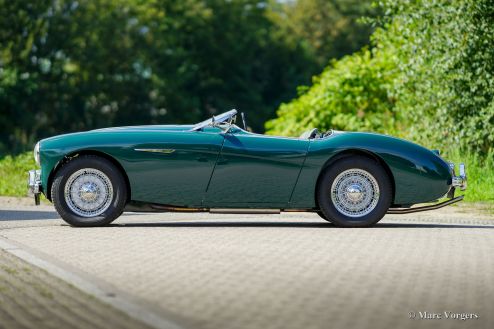 Austin Healey 100/4 BN1, 1955