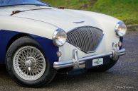 Austin Healey 100/4 BN2, 1955