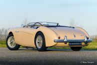 Austin Healey 100/4 BN-1, 1953