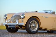 Austin Healey 100/4 BN-1, 1953