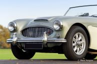 Austin Healey 100/6 BN6, 1957