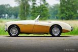 Austin-Healey-100-4-Four-BN1-1955-Old-English-White-Caramel-02.jpg