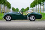 Triumph-TR-3-TR3-A-1959-British-Racing-Green-Vert-Gruen-Groen-02.jpg