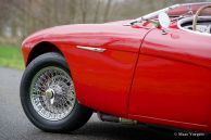 Austin Healey 100/4 BN1 ‘Le Mans’, 1954