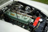 Austin Healey 3000 Mk 1 two-seater, 1960