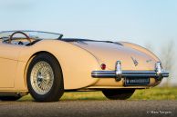 Austin Healey 100/4 BN-1, 1953