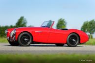 Austin Healey 100/4, 1955