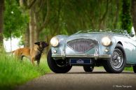 Austin Healey 100/4 BN-1, 1955