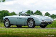 Austin Healey 100/4 BN-1, 1955