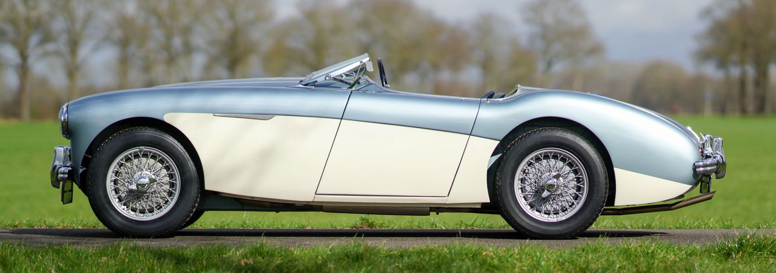 Austin Healey 100/4 (BN1), 1955