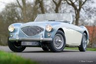 Austin Healey 100/4 (BN1), 1955