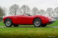 Austin Healey 100/4 BN1 ‘Le Mans’, 1954