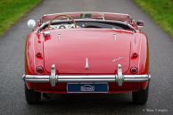 Austin Healey 100/4 BN1 ‘Le Mans’, 1954