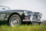 Austin Healey 3000 Mk 3 ph 2, 1966