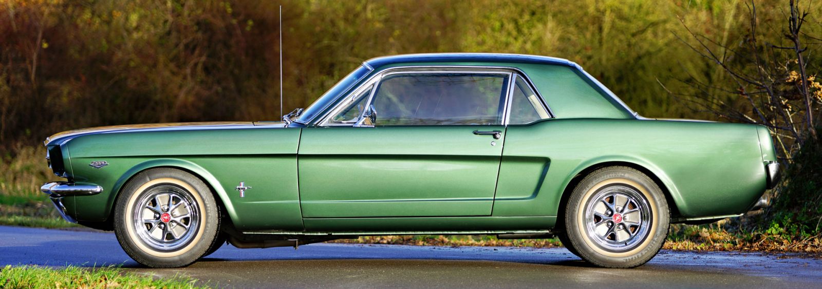 Ford Mustang 289 V8 hardtop, 1965