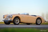 Austin Healey 100/4 BN-1, 1953