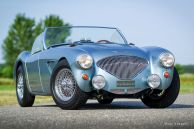 Austin Healey 100/4 (BN1), 1954