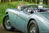 Austin Healey 100/4 BN-1, 1955