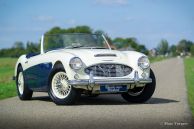 Austin Healey 100/6 BN4, 1959