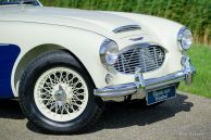 Austin Healey 100/6 BN4, 1959