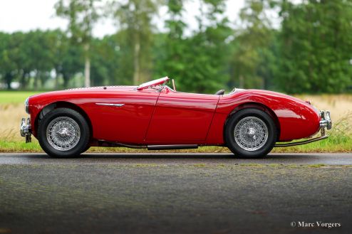 Austin Healey 100/M ‘Le Mans’, 1955